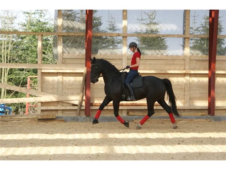 {{currentPhoto.altText}} billede {{currentPhoto.number}}