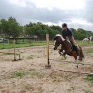 Anden særlig race Fidus