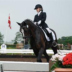 Irsk Sportspony Admiral Charo' 