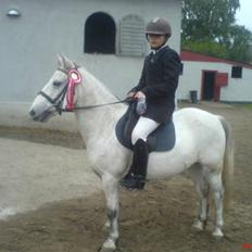 Anden særlig race Prop ;')  SOLGT :(