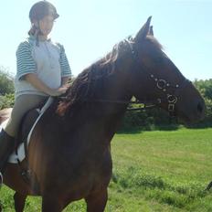 Anden særlig race Apollon/Polle(mor's) 