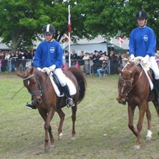 DSP Moonlight Dancer