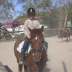 DSP Moonlight Dancer