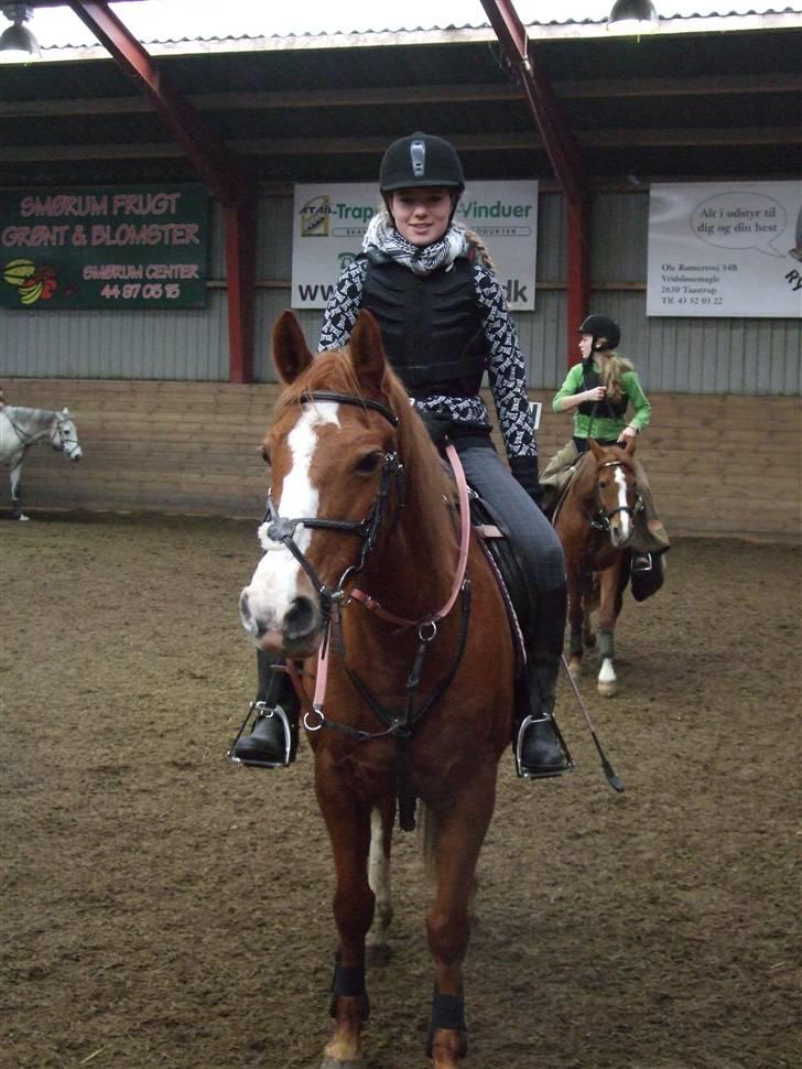 Hollandsk Sportspony  | Chantelle <3 - SAVNET !! <3 - elsker den pony! billede 7