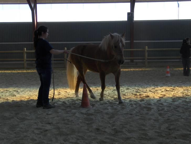 Haflinger Calina - Calina og jeg ( April 09 ) Foto: Min mor billede 13