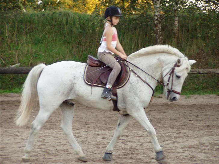 Connemara Lucky strike - . Line og Lucky :) billede 9