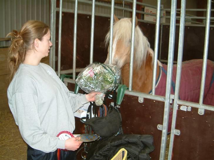Haflinger Vick-Sabrina Gammelgang - Blev nr. 2 i sin klasse til jubilæumsudstillngen på Broholm gods :-) billede 7