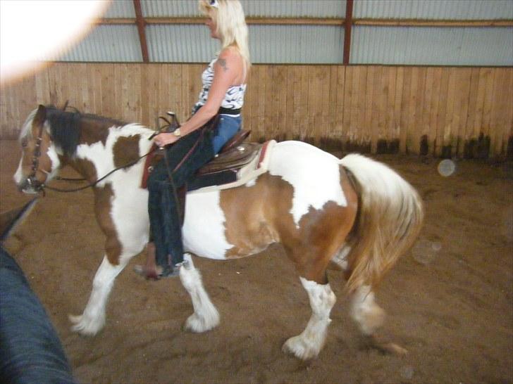 Irish Cob Irish Swan´s Sindi - 2306-10, ved at lære at ride western  :o) billede 3