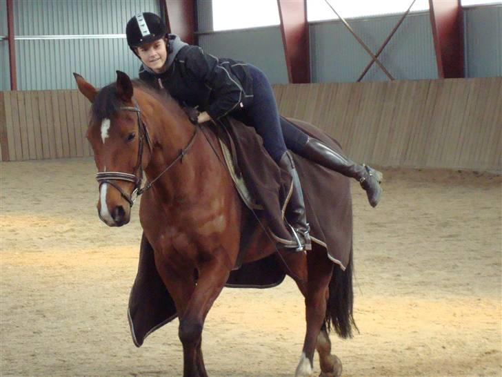 Hollandsk Varmblod Pearly (SOLGT) - 19) Lidt uopdragen er man altid. Hun har aldrig tid til at stå stille :) <3 MÅ IKKE KOPIRES ! Foto : Far billede 19