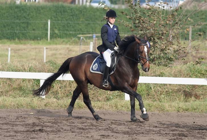 DSP Sailor> solgt<  - fotograf: Jessica  okt 07 billede 13