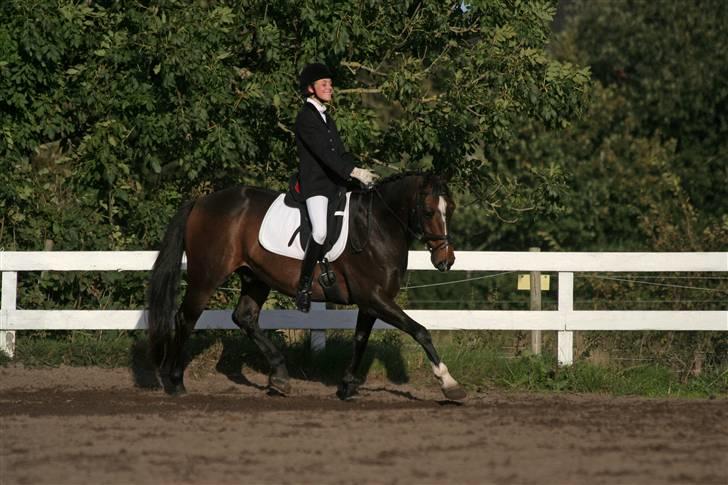 DSP Sailor> solgt<  - fotograf:jessica okt 07 billede 14