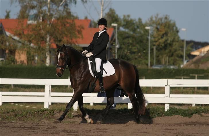 DSP Sailor> solgt<  - fotograf:jessica  okt 07 billede 18