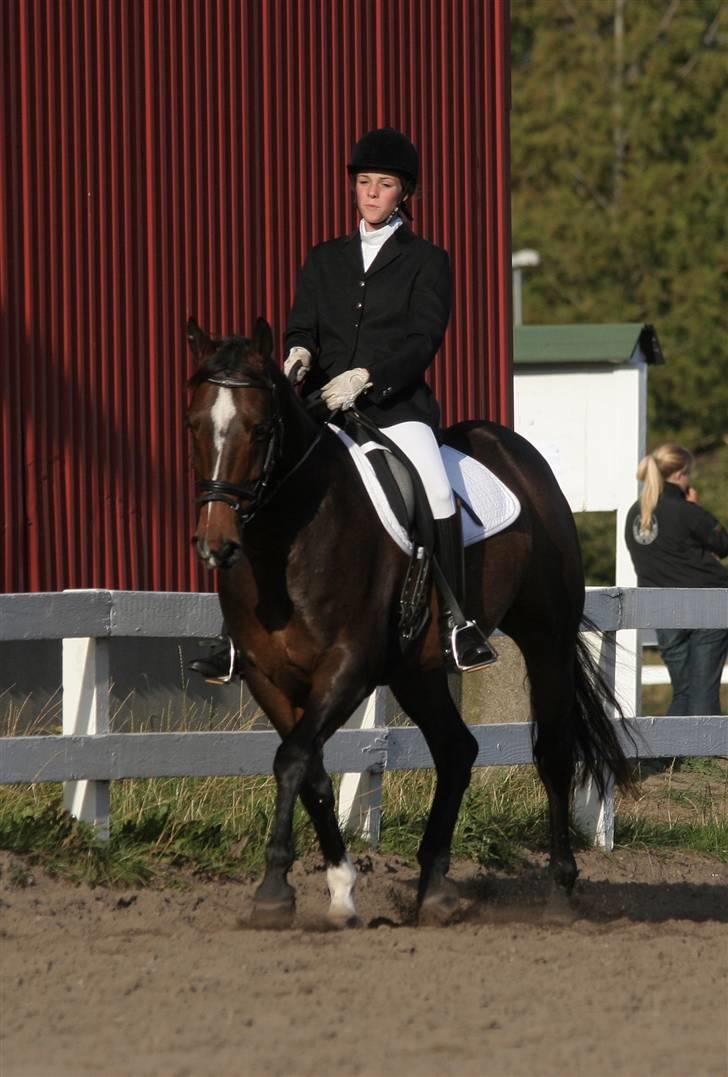DSP Sailor> solgt<  - fotograf:jessica okt 07 billede 20