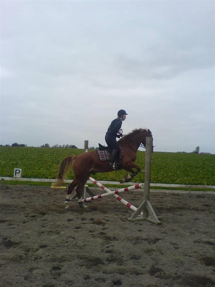 Anden særlig race \\Romeo - SOLGT ! - Mig og Romeo der springer kryds ;P billede 18