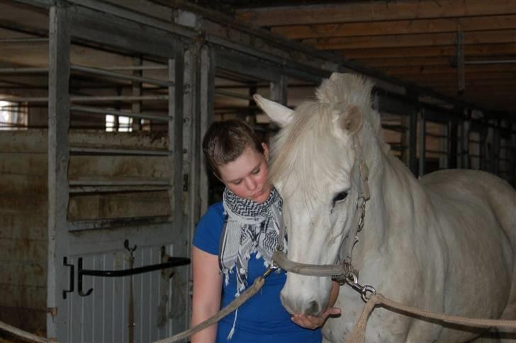 Anden særlig race Winner [Tidligere part] - Velkommen til Winners profil (: Bedøm gerne og smid en kommentar. Før vi red sidste gang /: Taget af Nanna den 30. april 2008. billede 1