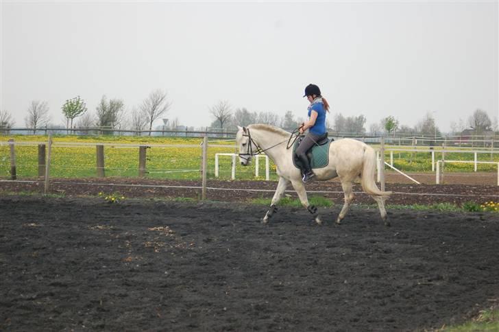 Anden særlig race Winner [Tidligere part] - Winner og jeg <3 Du er så dejlig, mus {: Taget af Nanna den 30. april 2008. billede 5