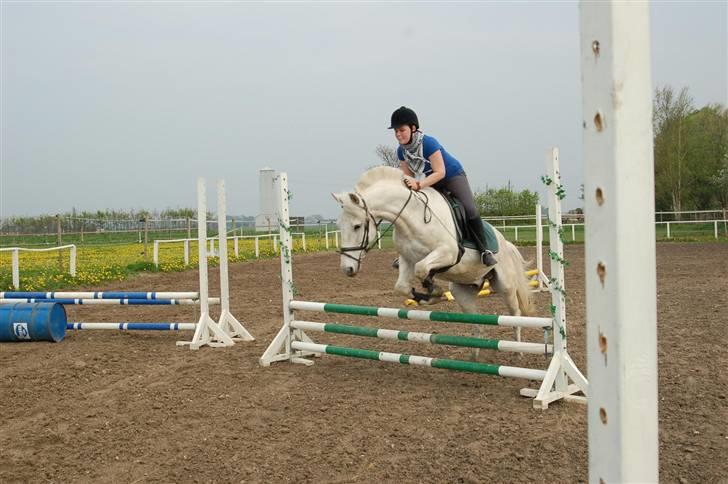 Anden særlig race Winner [Tidligere part] - 08.01.2008; Hop! og så kom vi over de 60 cm for sidste gang. Håber snart at få de springbilleder som Katrine tog, på Milles kamera - billedet er taget af Nanna den 30. april 2008. billede 6