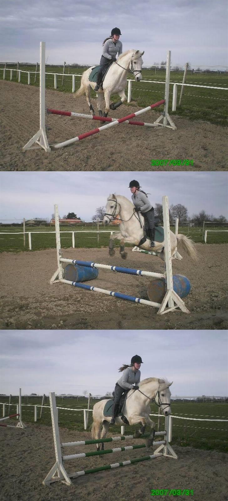 Anden særlig race Winner [Tidligere part] - Springning imellem 20 cm og 70 cm - billedet er taget af Katrine :) dato står i bunden. billede 7