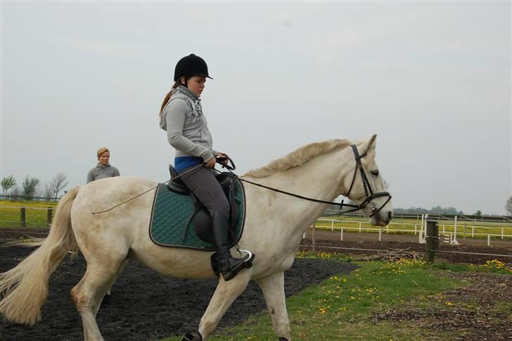 Anden særlig race Winner [Tidligere part] - Haha? Jeg skulle vist stoppe ham .. Taget af Nanna den 30. april 2008. billede 8