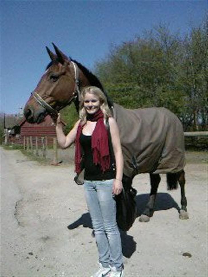 Dansk Varmblod Kara SOLGT - #15 sidste dag, Kara og jeg.  billede 15