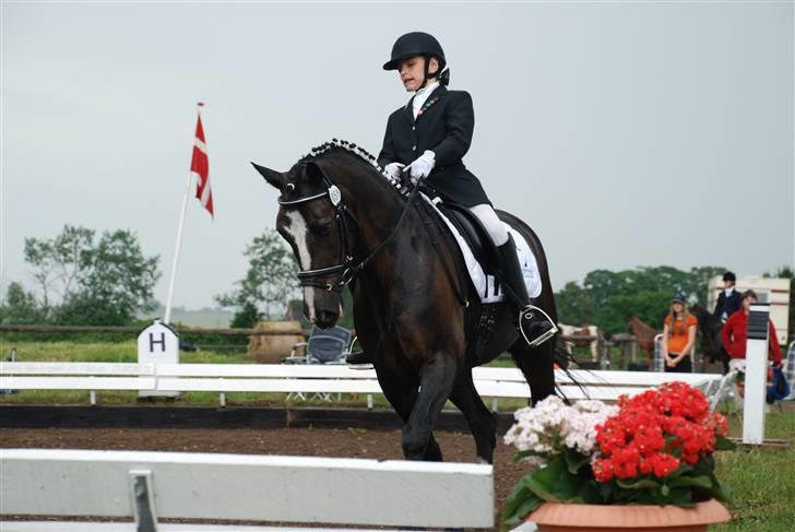 Irsk Sportspony Admiral Charo'  - Jeanette og Admiral Charo til sydjyskmesteskab for hold i Tørring/Uldum billede 2