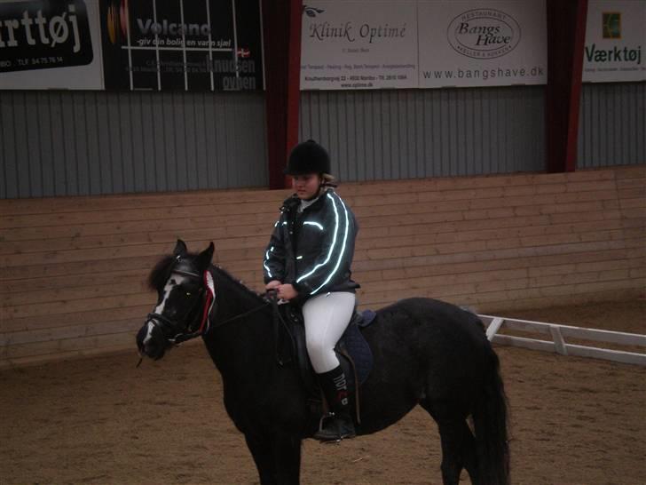 DSP Ca-pia *Død* <3 - miig & putten vandt en 1 plads til vores sidste stævne.(spring 60cm.) billede 6