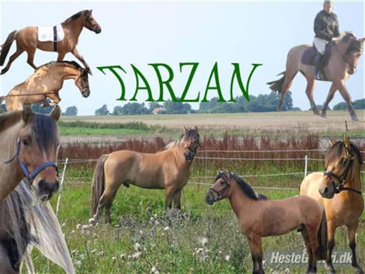 Anden særlig race Tarzan  - jeg kedet mig lige ;)  billede 10