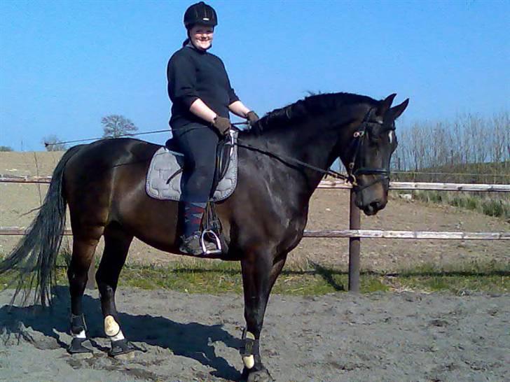 Oldenborg Højvangens Junker *RIP* - Hej og velkommen til min side billede 1