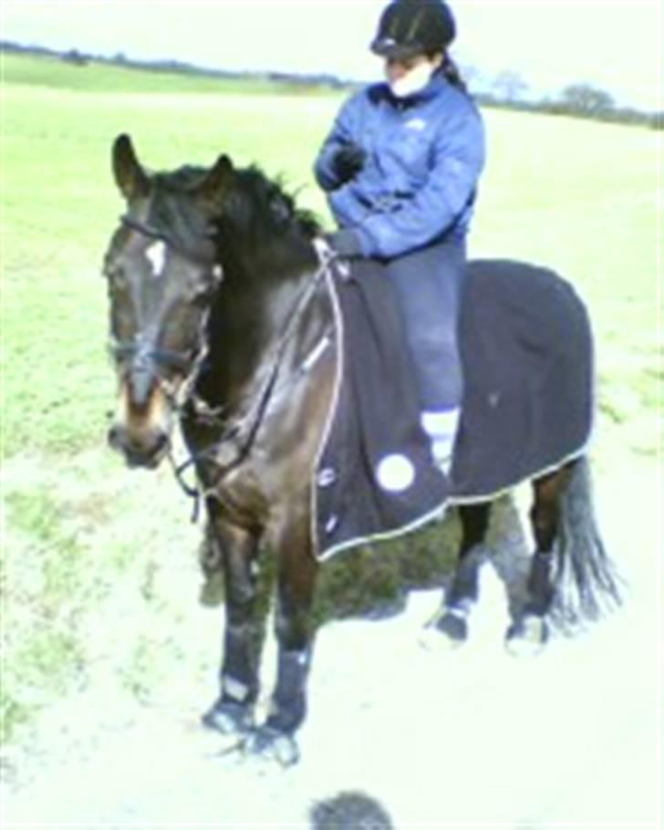 Oldenborg Højvangens Junker *RIP* - På tur  billede 10