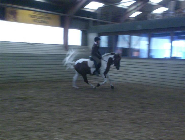 Pinto La-Chris Vesterlund - Galop undervisning D. 25 september billede 8