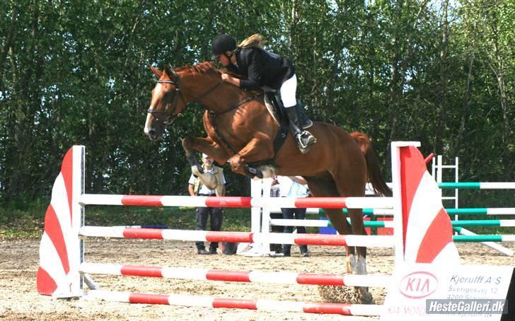 Mecklenburger Godus 2(R.I.P.- 26/8-09)† - vi springer ! ;D /foto: lone p :) billede 17