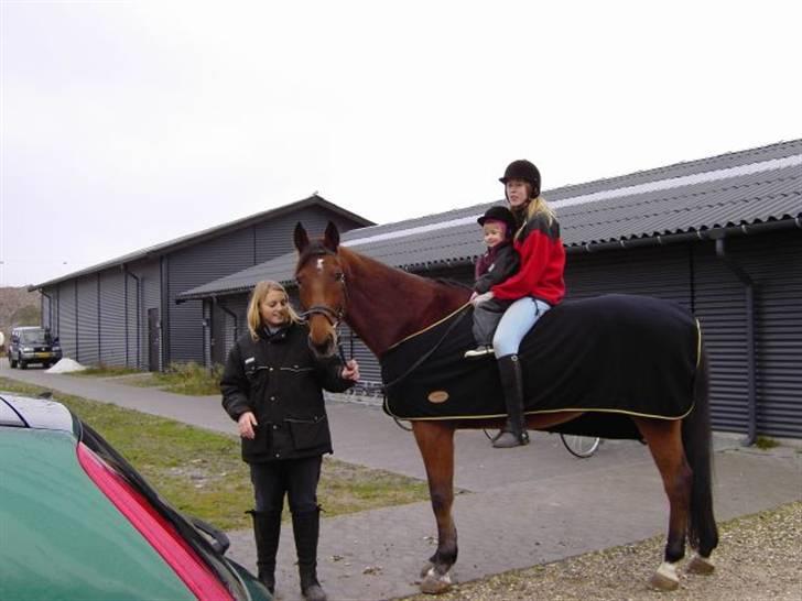 Dansk Varmblod Weluks (Lucas) efterlyses - Carina, Liva (lille pige) og Maria (på jorden) lige da vi havde fået ham billede 4