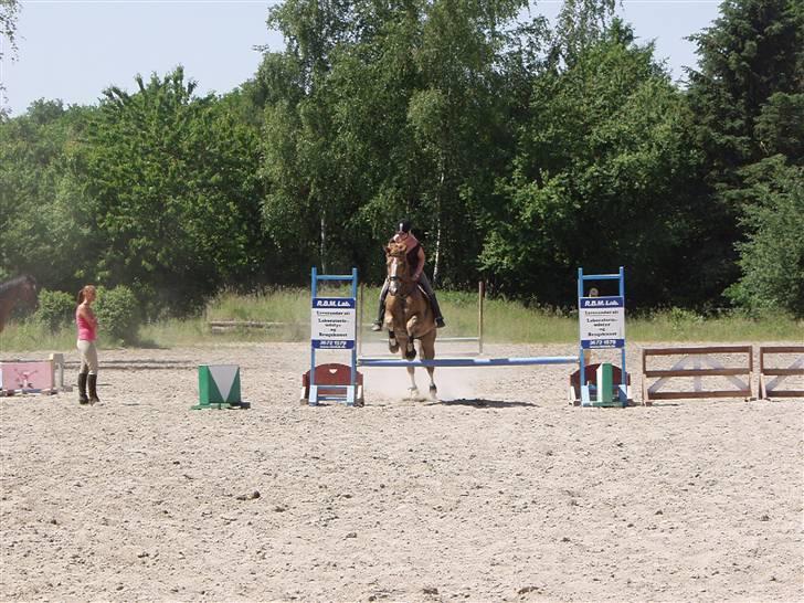 Dansk Varmblod Oliver  - Oliver og mig springer :D billede 2