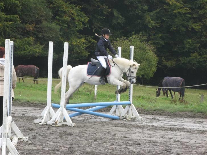 Anden særlig race Frække Frederik :D-IK MIN - kirstine og frede "FLYVER"  (foto:mig)!!(HAN ER DESVÆRRE IKKE MIN, MEN KIRSTINES PONY) billede 3