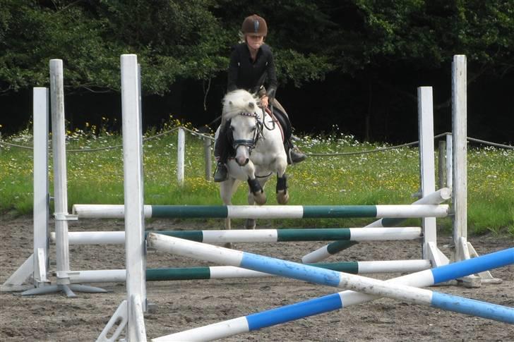 Anden særlig race Frække Frederik :D-IK MIN - mig og frede :) <´3 foto mor !!(HAN ER DESVÆRRE IKKE MIN, MEN KIRSTINES PONY) billede 16