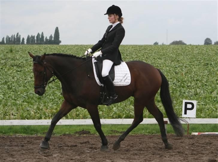 Fuldblod (XX) Capzeda xx - Dressurstævne 29/9-07 Blev 2´ er i LC2 og vandt LC3 :-) billede 7