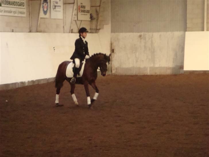 DSP *Yasmin* Solgt :`( - 14  :-)  10/10-09  billede 14