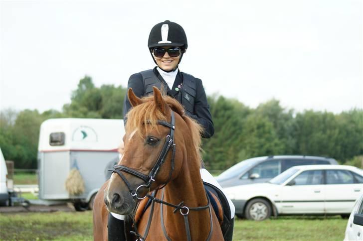 Tysk Sportspony Gizmo *Solgt* - Pårup stævne, foråret 2008. Vi er seje! Haha ;D billede 11