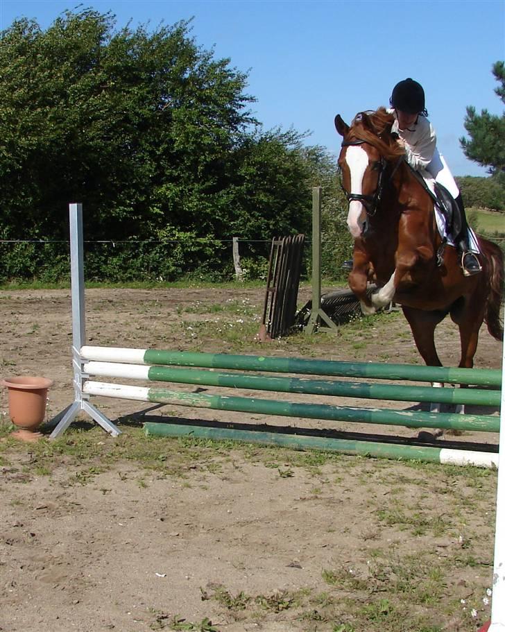 Frederiksborg Cado  - Den første springklasse vi har startet, vi vandt. :D Mere held end forstand :P billede 11