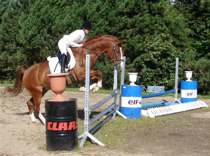 Frederiksborg Cado  - Det Sølvfarvede spring, det var vi ikke venner med den dag. ;) billede 13