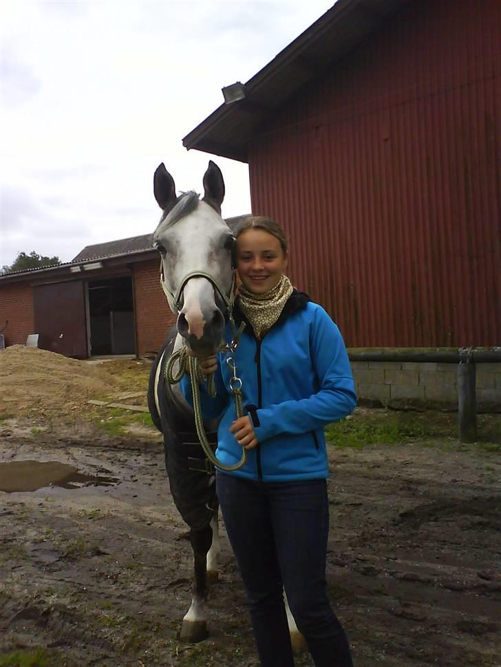 Arabisk fuldblod (OX) Rashid ox R.I.P. - mig og ham da han var skadet;( billede 8