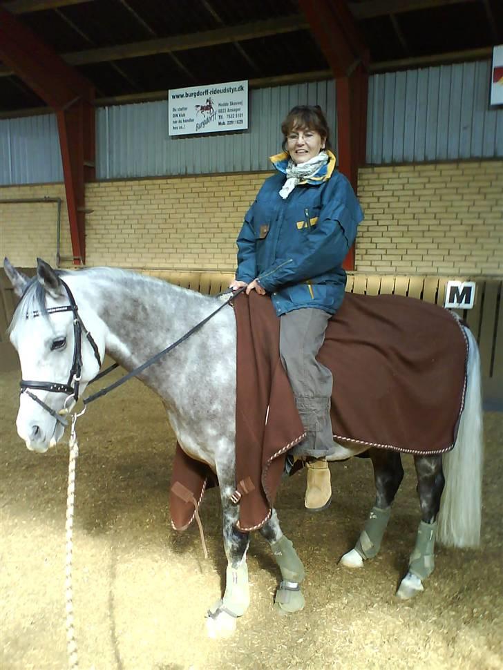 Arabisk fuldblod (OX) Rashid ox R.I.P. - Bedste fik lige en tur;) billede 9