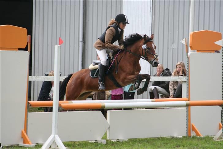 Anden særlig race Nielsen's Little Star  - Stævne SVR  billede 15