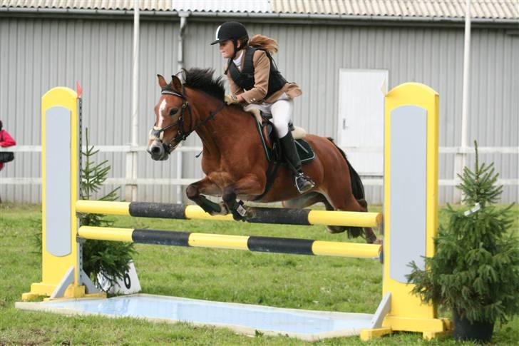 Anden særlig race Nielsen's Little Star  - Fyensmesterskaberne 2007 billede 16