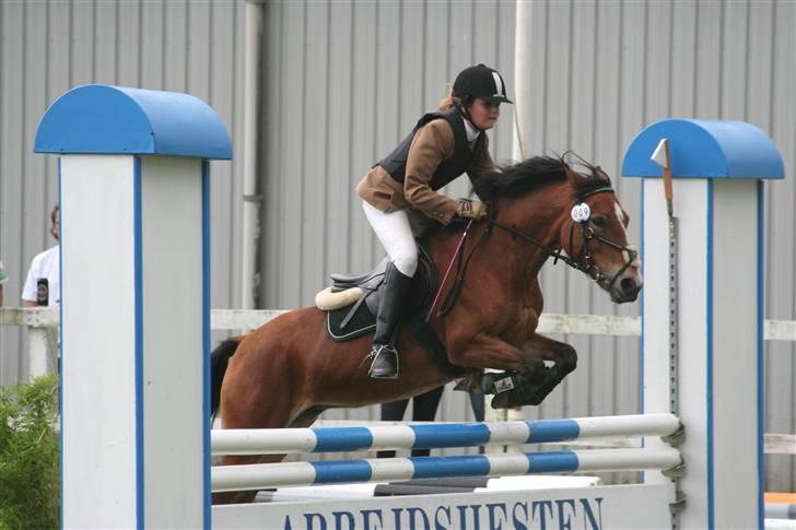 Anden særlig race Nielsen's Little Star  - Stævne billede 17