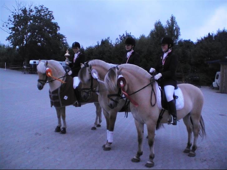 Fjordhest Bartoldi - DM og Nordisk 07 billede 18
