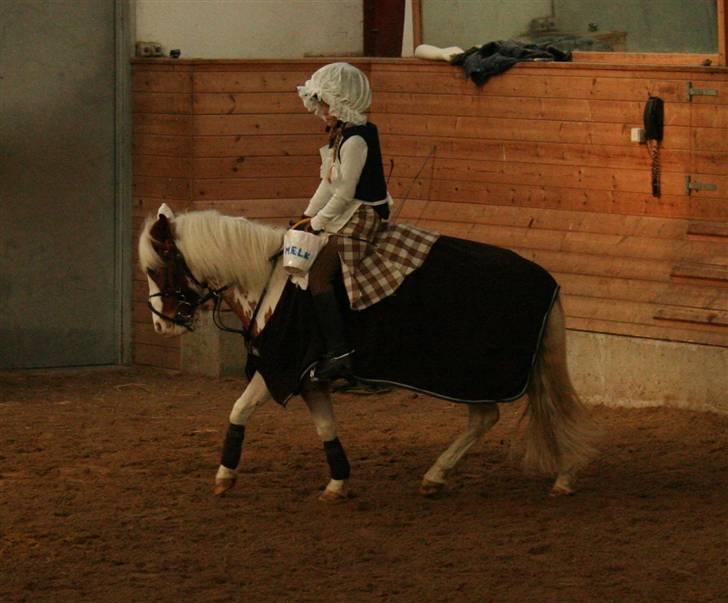 Pinto SPIRIT - Idamarie & Spirit - fra Kustymespring klædt som ko & malkepige  billede 10