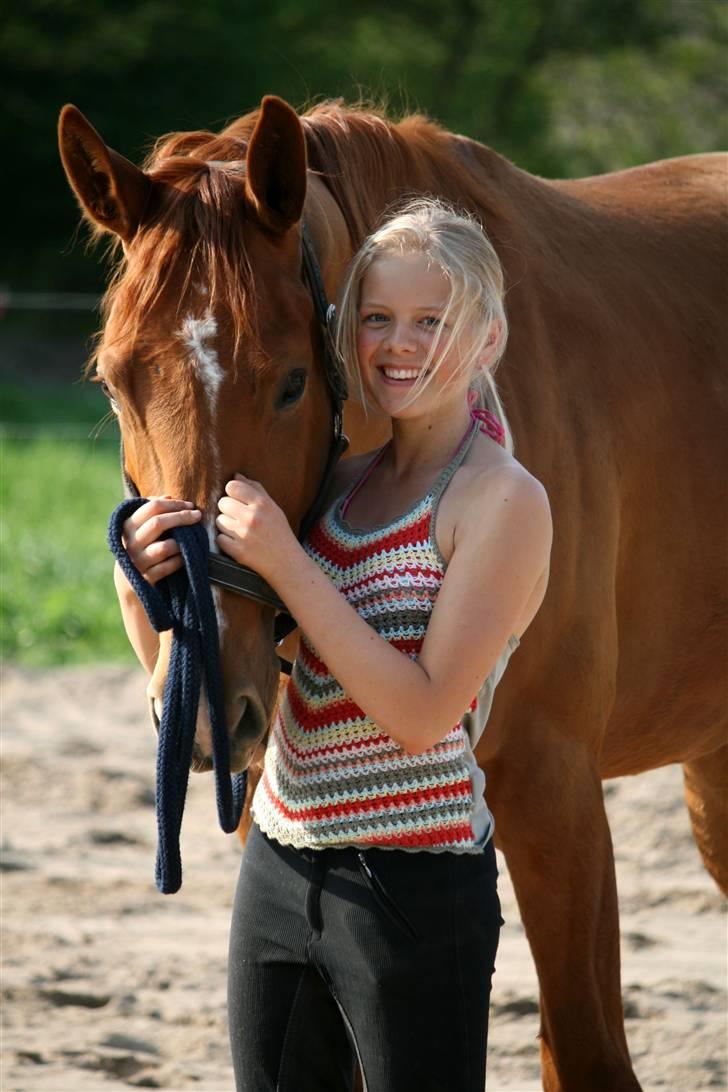 Dansk Varmblod Damgaardens Falasi - Solgt  - Taget af C.J.J billede 17