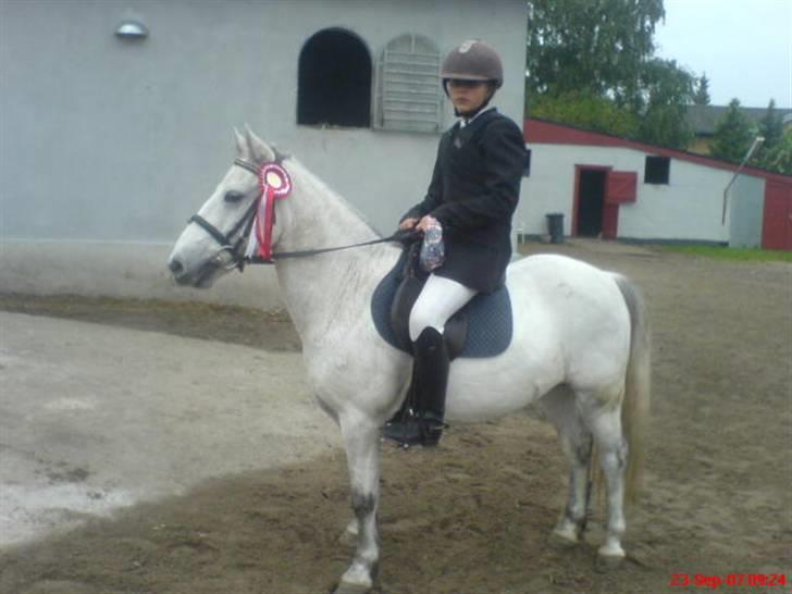 Anden særlig race Prop ;')  SOLGT :( - hej her er jeg  billede 1