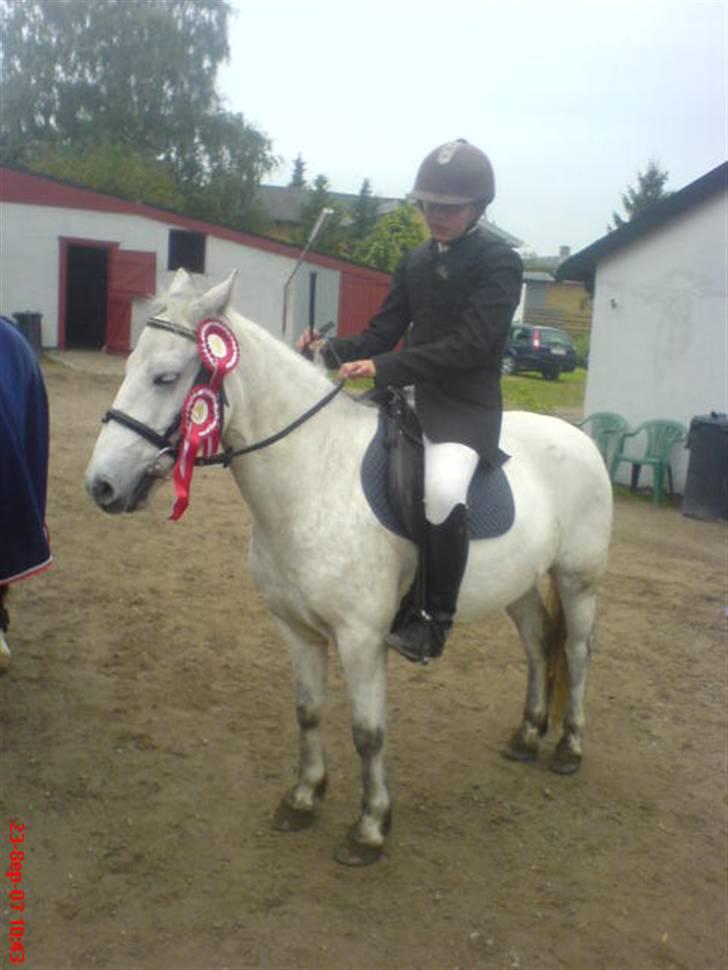 Anden særlig race Prop ;')  SOLGT :( - vad såå billede 3